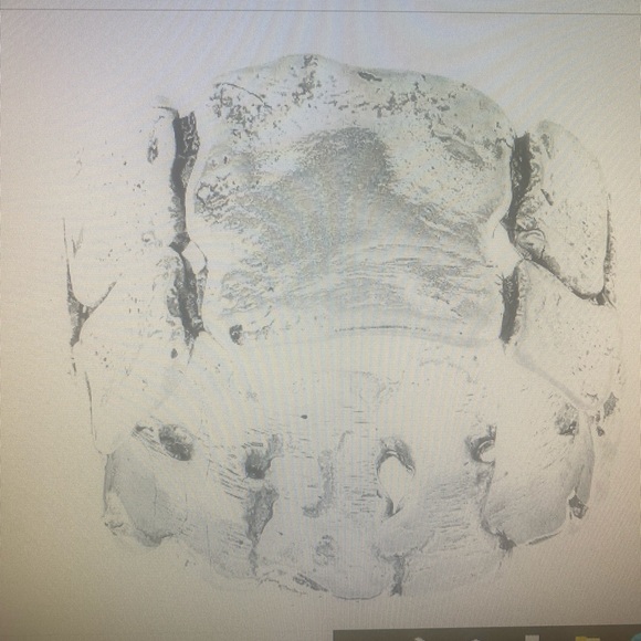 Silpada Silver Wide Band Ring with Intricate Design - Picture 5 of 7